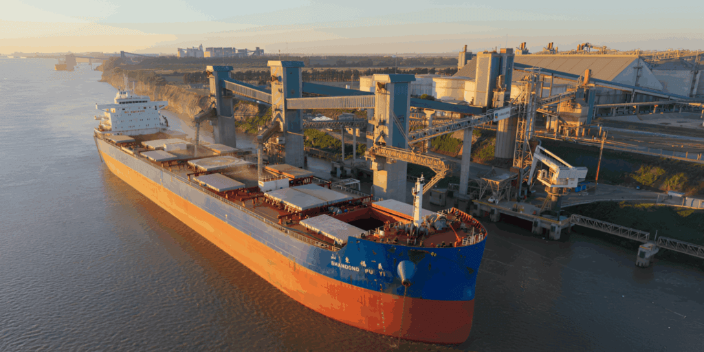 Trigo argentino: el boom exportador que reordena rutas y pone presión sobre la logística