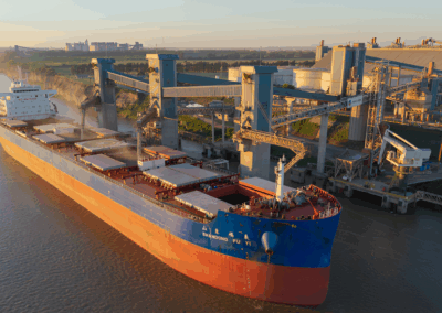 Trigo argentino: el boom exportador que reordena rutas y pone presión sobre la logística