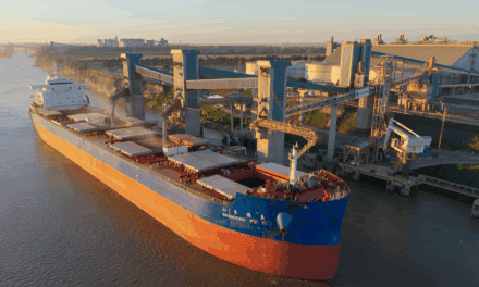 Trigo argentino: el boom exportador que reordena rutas y pone presión sobre la logística