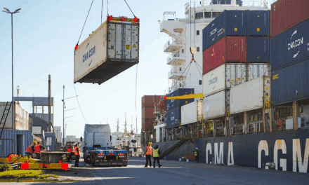 TC2 en Mar del Plata: ¿Por qué fracasó la licitación de la terminal de contenedores del Muelle 2?
