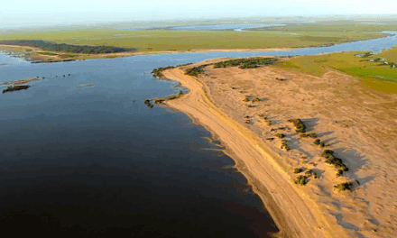 Licitación de puertos en la Laguna Merín: marzo como instancia decisiva, con el dragado como condición clave