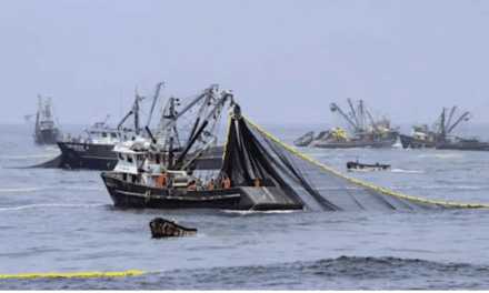 Japón aporta tecnología de vigilancia marítima a Sudamérica frente al avance de la pesca ilegal