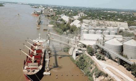 La cosecha gruesa asoma con presión logística en el Up River: diciembre dejó una señal de alerta