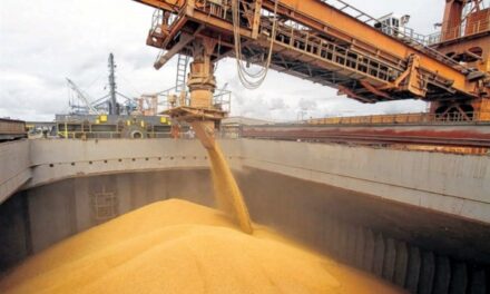 Récord de embarques agroindustriales desde los puertos argentinos en 2025