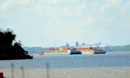 El Puerto de Posadas consolida su crecimiento logístico con un convoy récord de contenedores de MSC y Maersk