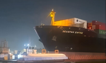 Alerta en el Puerto de Santos: colisión del portacontenedores Seaspan Empire expone riesgos en canales saturados