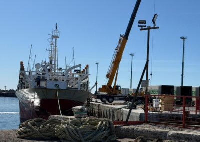 Comodoro Rivadavia: potero descargó 735 toneladas de calamar