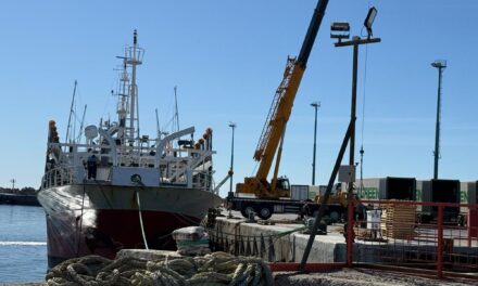 Comodoro Rivadavia: potero descargó 735 toneladas de calamar