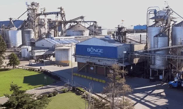 Del Up River a Bahía Blanca: las terminales que sostienen el liderazgo agroexportador de Bunge
