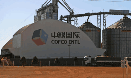 China acelera compras de trigo y activa un nuevo corredor logístico desde los puertos argentinos