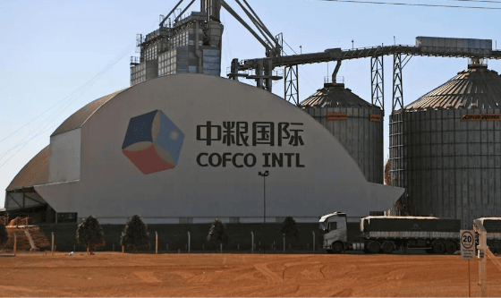 China acelera compras de trigo y activa un nuevo corredor logístico desde los puertos argentinos