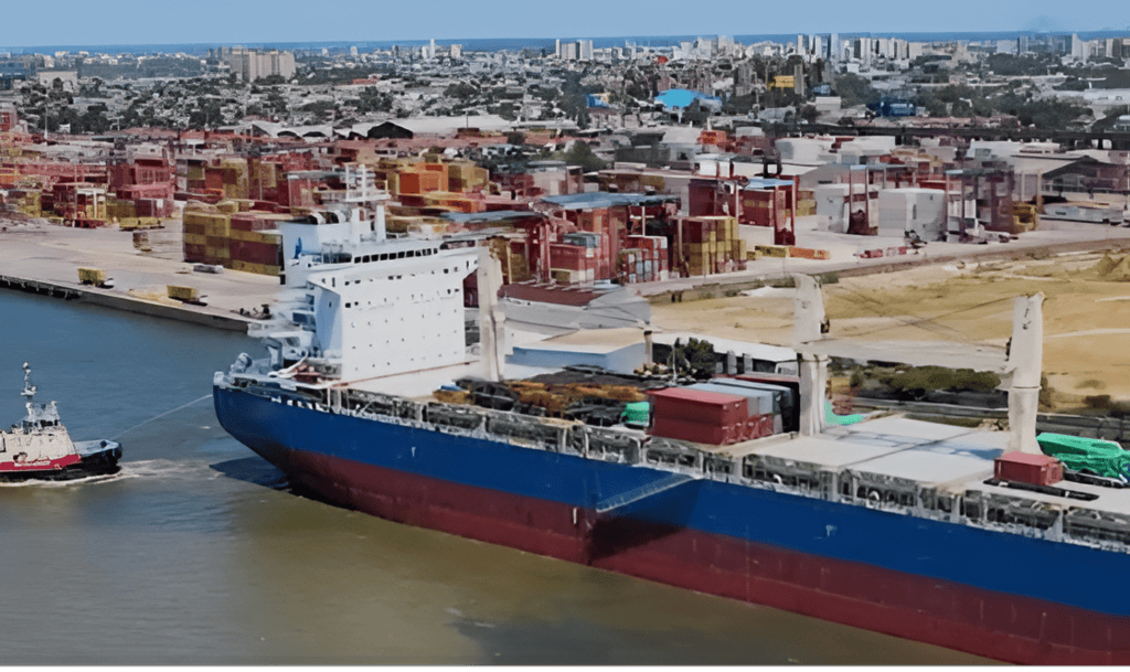 Dock Sud operó el buque más grande de su historia: el arribo del CSPC ...