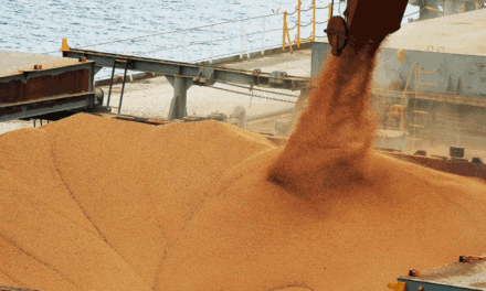 China importó 112 millones de toneladas de soja en 2025 y Sudamérica concentró el 83%