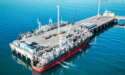 Illex 2026: Madryn al frente y el modelo patagónico responde con casi 100 mil toneladas en 49 días