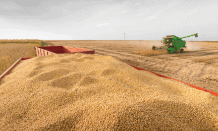 Soja en riesgo y lluvias clave: señales mixtas en el corazón agroexportador