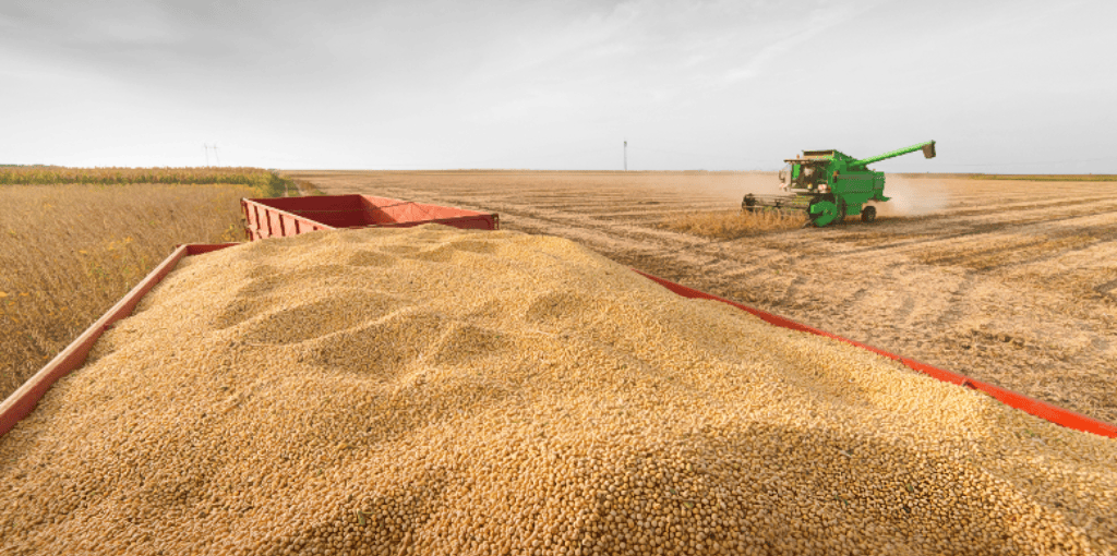 Soja en riesgo y lluvias clave: señales mixtas en el corazón agroexportador