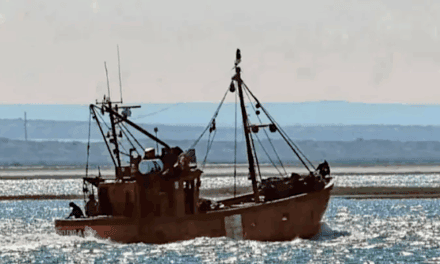 Hundimiento del pesquero Heleno A en el Golfo San Matías: operativo SAR y un tripulante desaparecido