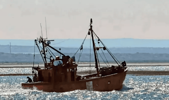 Hundimiento del pesquero Heleno A en el Golfo San Matías: operativo SAR y un tripulante desaparecido