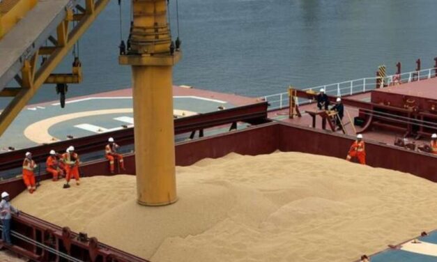 Line up de granos: San Lorenzo concentra el 56% de las 4,74 millones de toneladas programadas