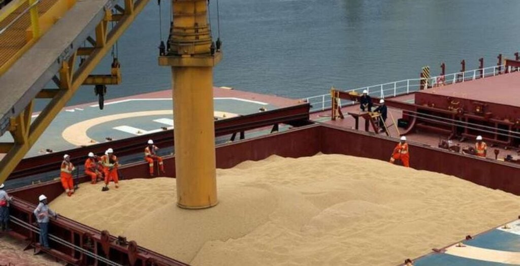 Line up de granos: San Lorenzo concentra el 56% de las 4,74 millones de toneladas programadas