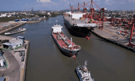 El puerto de Dock Sud publicó la licitación de una obra clave para su crecimiento y posicionamiento estratégico