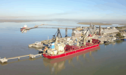 Puerto de Bahía Blanca impulsa la licitación del Muelle Cerri con una inversión de $5.320 millones