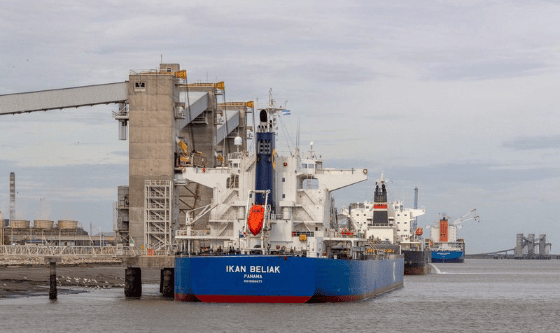 Movimiento operativo en Puerto de Bahía Blanca: más de 267 mil toneladas consolidan su perfil productivo