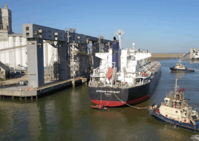 Seminario de graneles en Bahía Blanca: AAPA LATAM reunirá a líderes del sector portuario y logístico