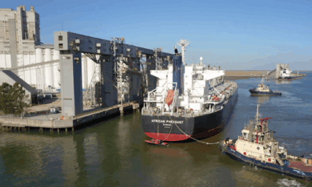 Seminario de graneles en Bahía Blanca: AAPA LATAM reunirá a líderes del sector portuario y logístico
