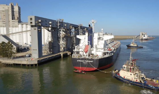 Seminario de graneles en Bahía Blanca: AAPA LATAM reunirá a líderes del sector portuario y logístico