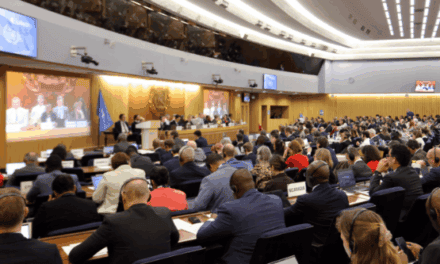 OMI: qué se debatirá en el MEPC 84 sobre emisiones, plásticos y eficiencia energética de los buques