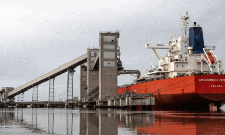 Bloqueos al transporte de granos frenan cargas en Bahía Blanca y Quequén y agravan la crisis logística cerealera