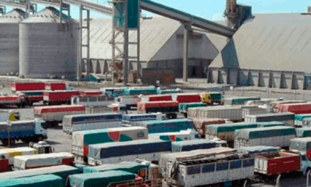 Cosecha récord 2025/26: más de 6.000 camiones diarios colapsan los accesos a los puertos del Gran Rosario