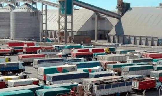 Cosecha récord 2025/26: más de 6.000 camiones diarios colapsan los accesos a los puertos del Gran Rosario