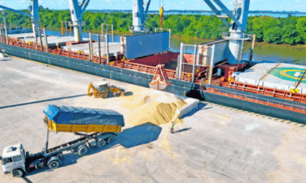 Puerto de Concepción del Uruguay supera 1.800 camiones y acelera exportaciones en 2026