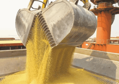 Récord de exportaciones agroindustriales 2026: el desafío logístico de los puertos argentinos