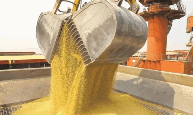 Récord de exportaciones agroindustriales 2026: el desafío logístico de los puertos argentinos