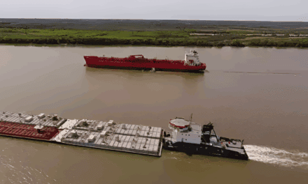 Gremios y cámaras denuncian competencia desleal en el sector de amarre y avanzan hacia un registro obligatorio en los puertos