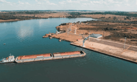 Misiones potencia su perfil exportador: Lanzan la licitación para la concesión integral del Puerto de Posadas