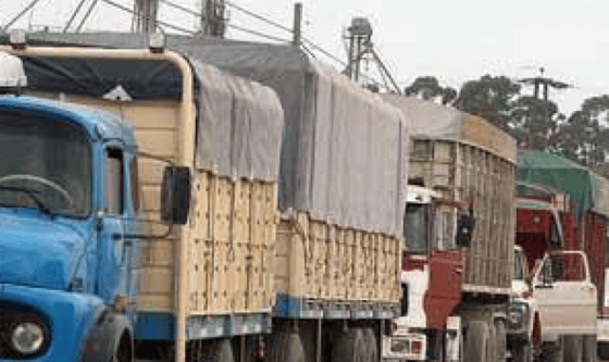 Puerto Quequén: dos semanas de bloqueo, 17 buques varados y hasta USD 450 millones en divisas perdidas