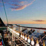 Calamar Illex: el cierre de la temporada 2026 expone señales de agotamiento del recurso en la ZEE argentina