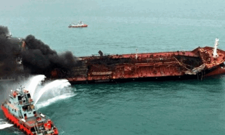 Carguero con trigo se hundió en el mar de Azov