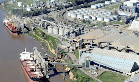 74,6 millones de toneladas y más zarpes: el Gran Rosario reafirma su peso en el comercio exterior