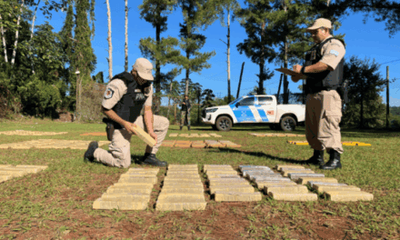 Puerto Libertad: Prefectura secuestró más de 1.300 kilos de marihuana en Misiones