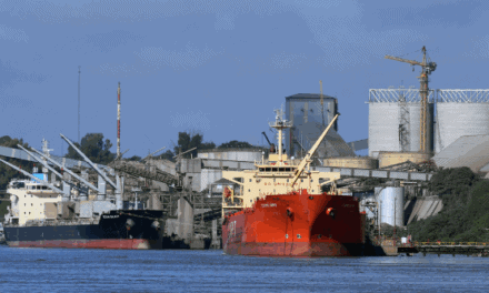 Hidrovía argentina a plena carga: más de 100 buques reflejan la presión exportadora