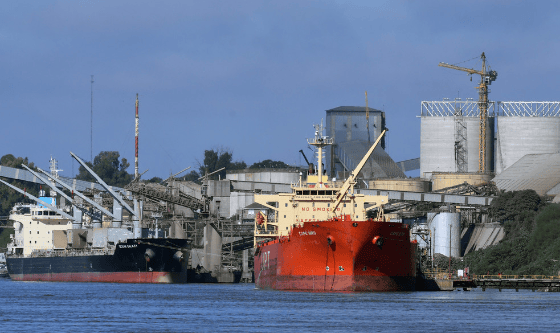 Hidrovía argentina a plena carga: más de 100 buques reflejan la presión exportadora