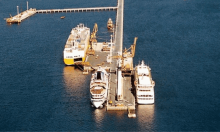 Puerto Madryn refuerza su infraestructura portuaria con obras clave en los Sitios 3 y 4