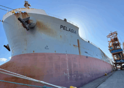 El Pelagia abre la zafra de soja 2026 en Nueva Palmira con 37.000 toneladas rumbo a China