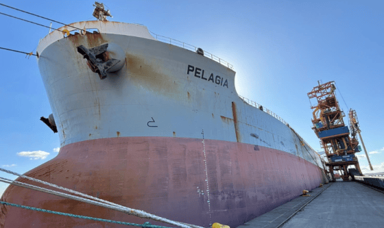 El Pelagia abre la zafra de soja 2026 en Nueva Palmira con 37.000 toneladas rumbo a China