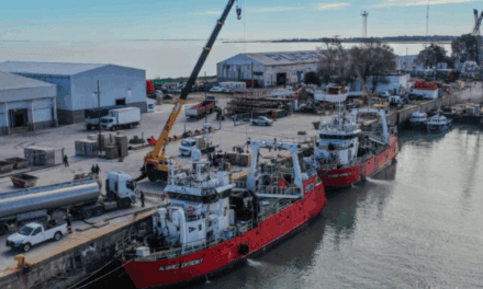 Campaña langostino Puerto Rosales: Conarpesa cerró el circuito con 140 toneladas exportadas